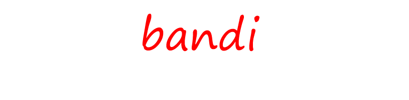 bandi.png